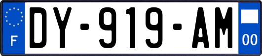 DY-919-AM