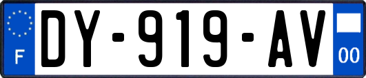 DY-919-AV