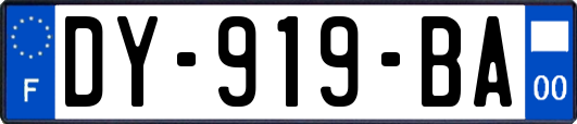 DY-919-BA