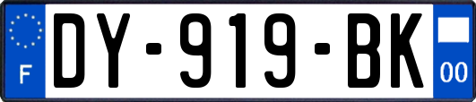 DY-919-BK