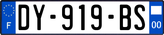 DY-919-BS