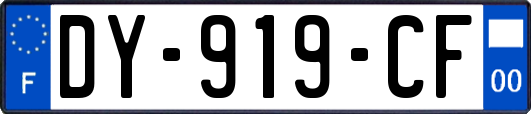 DY-919-CF