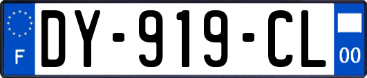DY-919-CL