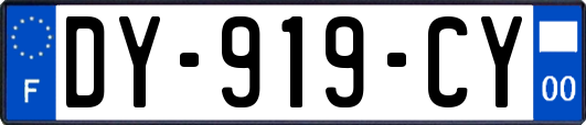 DY-919-CY