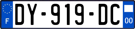 DY-919-DC