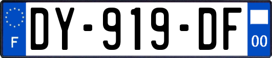DY-919-DF