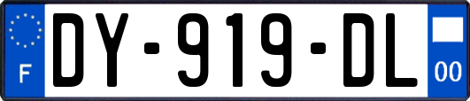 DY-919-DL