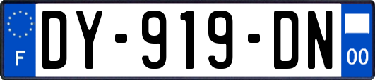 DY-919-DN