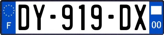 DY-919-DX