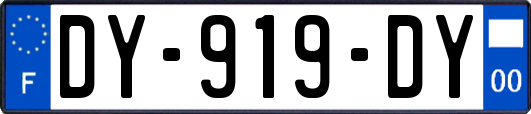 DY-919-DY