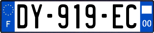 DY-919-EC