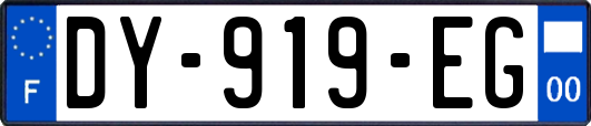 DY-919-EG