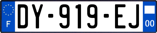 DY-919-EJ