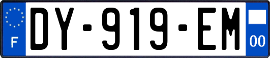 DY-919-EM