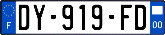 DY-919-FD