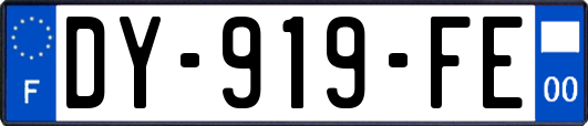 DY-919-FE