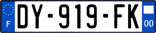 DY-919-FK