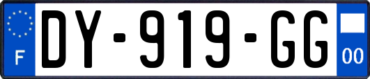 DY-919-GG