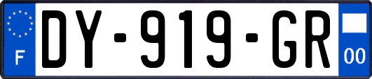 DY-919-GR