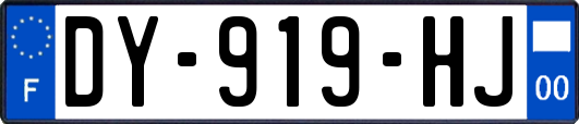 DY-919-HJ