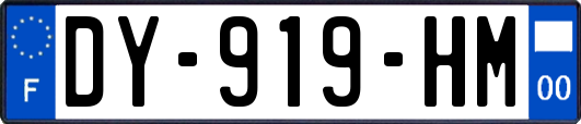 DY-919-HM