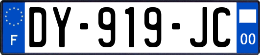 DY-919-JC