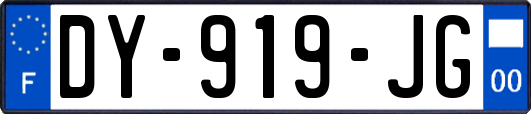 DY-919-JG