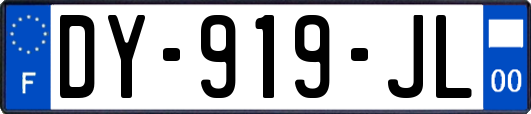 DY-919-JL