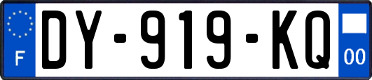 DY-919-KQ