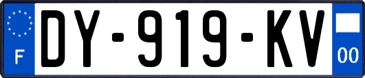 DY-919-KV