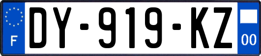 DY-919-KZ