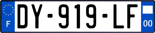 DY-919-LF