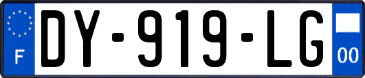 DY-919-LG