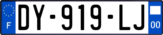 DY-919-LJ