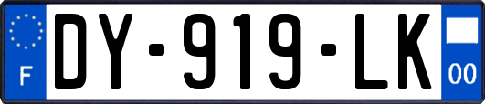 DY-919-LK