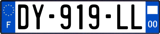 DY-919-LL