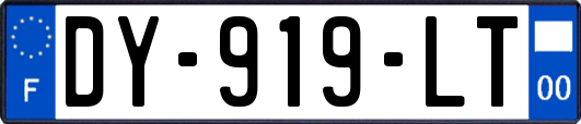 DY-919-LT