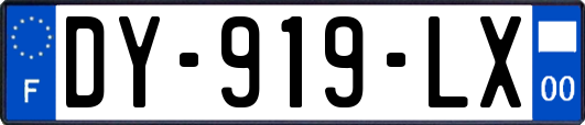 DY-919-LX