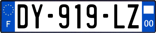 DY-919-LZ