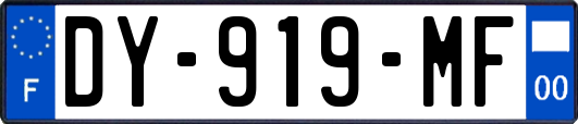 DY-919-MF