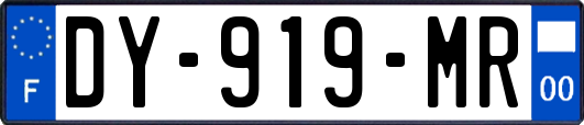 DY-919-MR