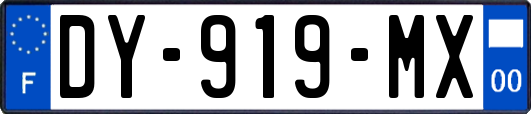 DY-919-MX