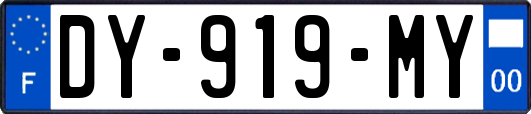 DY-919-MY