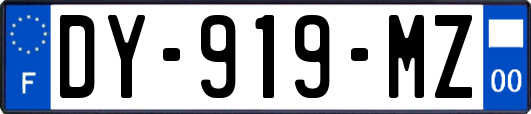 DY-919-MZ