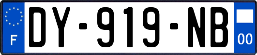 DY-919-NB