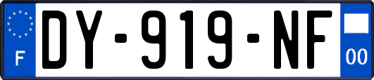 DY-919-NF