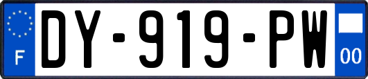 DY-919-PW
