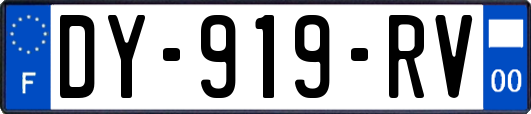 DY-919-RV