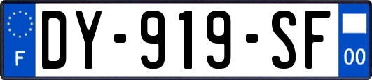 DY-919-SF