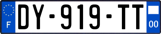 DY-919-TT